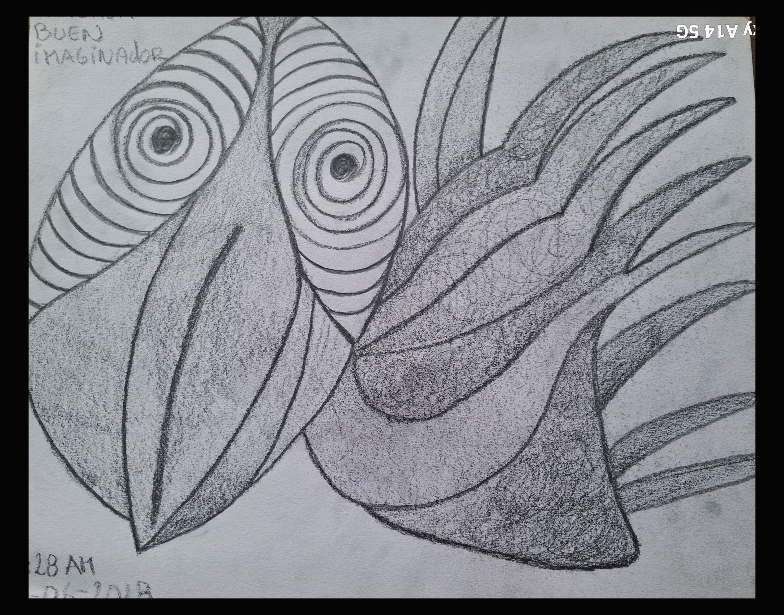 Imagina Buen Imaginador