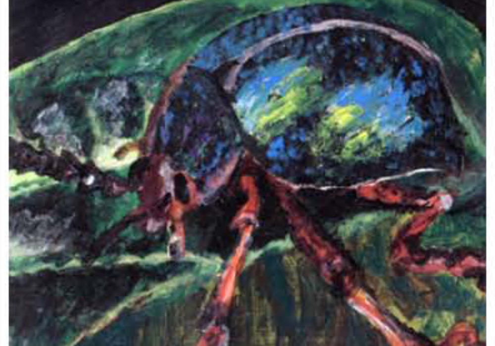 Escarabajo en Acrílico